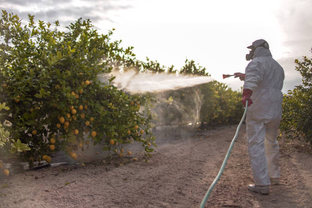 Best Pest Control for Restaurants  in Nahunta, GA
