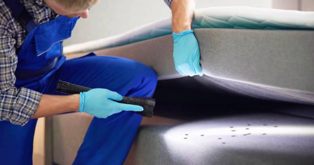 Best Emergency Pest Control  in Nahunta, GA